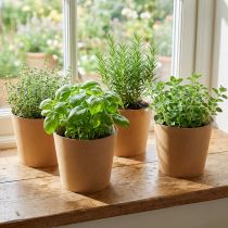 Product Planter, flowerpot, paper planter natural Ø15cm H13cm 4pcs