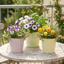 Product Bucket for planting, planter with handles, metal decoration pink/green/yellow shabby chic Ø16.5cm H15cm 3-piece set