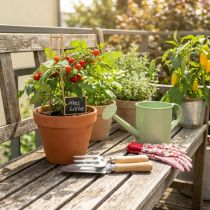 Product Garden tool set with stainless steel hand rake, hand shovel and garden stakes, gift idea for garden lovers