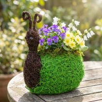 Product Planter Snail Vine Natural, Green 21x14cm H26cm