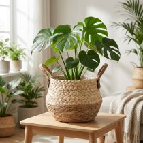 Product Basket with handles, planter, seagrass, jute, Ø23cm H20cm, boho chic, urban jungle decor
