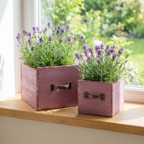 Product Plant drawer plant box wood purple 12.5/16cm set of 2