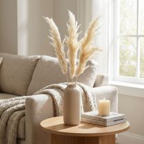 Product Decoration Pampas Grass Cream Dried Grasses Bleached 95cm 3 Pcs