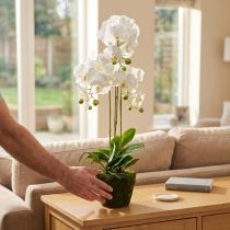 Product Artificial orchids for the pot white 80cm