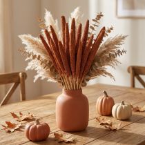 Product Dried flower decoration, millet sprays, babala for home and garden