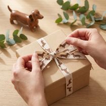 Product Decorative Dog Ribbon, 15mm x 18m, Polyester, Cream with Brown Dachshund Motif