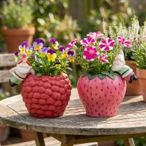 Product Ceramic pot planter edge hanger dwarf Ø14.5cm 2pcs