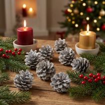 Product Black pine cones 5-9cm white washed 1kg