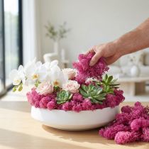Product Decorative moss Reindeer moss Erika 400g