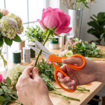 Product Flower scissors with teeth made of stainless steel in orange 20cm