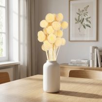 Product Craspedia Dried Flowers Cream Decoration 20 pcs 50-55cm