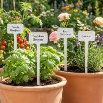 Product Plant signs Plant sign for changing 50cm 10pcs
