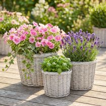 Product White-Grey Wicker Planter Basket Set with Liner Ø43/34/28cm - 3 Piece Set