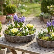 Product Natural Grey Rattan Plant Rings with Metal Frame Ø40/45cm Set of 2