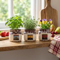 Product Cachepot ceramic kitchen decoration jam pot 7×7.5cm 3pcs