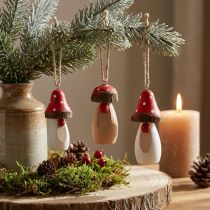 Product Mushroom for hanging wood white, brown assorted 6.5/8cm 8 pcs