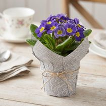 Product Planter Paper Dotted Gift Packaging Flowers Ø7cm H14cm 12 pcs