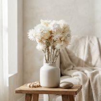 Product Natural White Dried Everlasting Flowers – Strawflowers Bouquet, H33cm