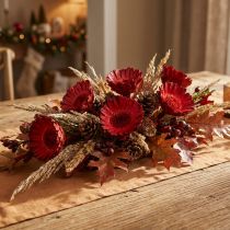 Product Compacta Rosette red 40 pcs