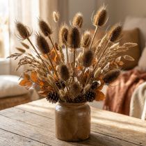 Product Dry decoration teasel thistles wild teasel natural 1kg