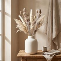 Product Salignum whitewashed proteas on a stem 25 pcs