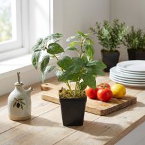 Product Artificial Basil in Pot Herbs in Green H22cm