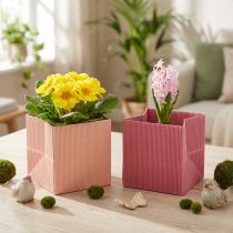 Product Flower pot flower bag pink salmon 12cmx12cm 6 pcs