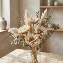 Product Repens Rosette bleached 8-9cm 20 pcs