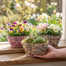 Product Plant basket seagrass basket water hyacinth planter oval 20.5cm 3 pcs