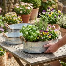 Product Plant pot with handles, herb bowl, arrangement base silver, brown L39/35.5/32 cm H10/8.5/7 cm set of 3
