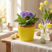 Product Pleated cuffs yellow 18.5cm 100 pcs.