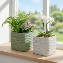 Product Planter ceramic white green relief mesh 17x17cm H15cm 2pcs