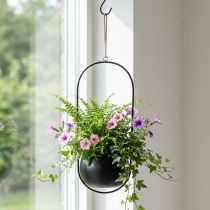 Product Hanging basket metal hanging basket flowers zinc black Ø15cm