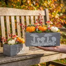 Product Wooden box set toadstool, autumn decorations, garden decorations, plant boxes L40 / 30cm, set of 2