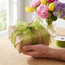 Product Chiffon ribbon organza ribbon decorative ribbon organza green 25mm 20m