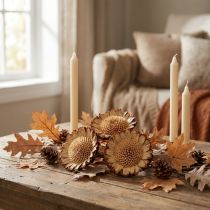 Product Susannae Rosette Light 50 pcs