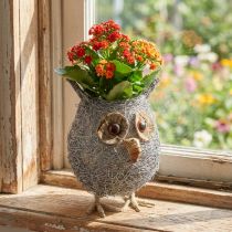 Product Plant basket owl vine white washed Ø14cm