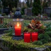 Product Refill candles for grave lights red H6.5cm 22h 15pcs