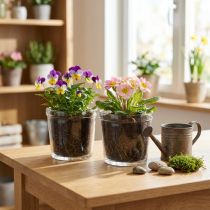 Product Flowerpot Glass Planter Transparent Ø11cm H10.5cm 2pcs
