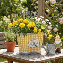 Product Oval plant pot with bee design, checkered pattern, summer decoration, planter, 38×24×29cm