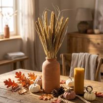 Product Dry floristry Grain Bunch of millet cobs dried 45cm