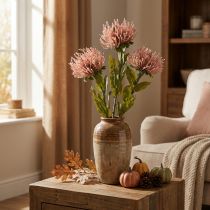 Product Autumn flower pincushion artificial Protea Rosa Leucospermum 73cm 3pcs