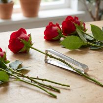 Product Rose Dethorner Classic Silver Dethorner for Roses 13cm