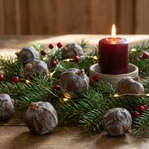 Product Juniper cones Syrian juniper natural Ø1.5–2.5 cm 1 kg