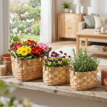 Product Plant basket cachepot with handles nature 22/27/33cm set of 3