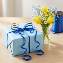 Product Curling ribbon blue 4.8mm 500m