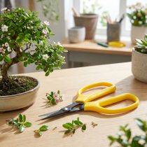 Product Oasis bonsai &amp; pincer scissors 15.5cm