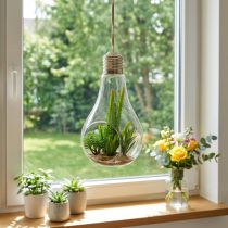 Product Cactus in the glass for hanging 21cm