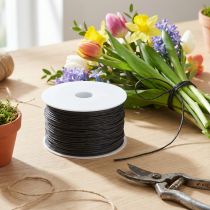 Product Paper cord wire wrapped Ø2mm 100m black