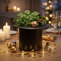 Product Black cylinder, planter, New Year's decoration, planter, wizard hat H16cm